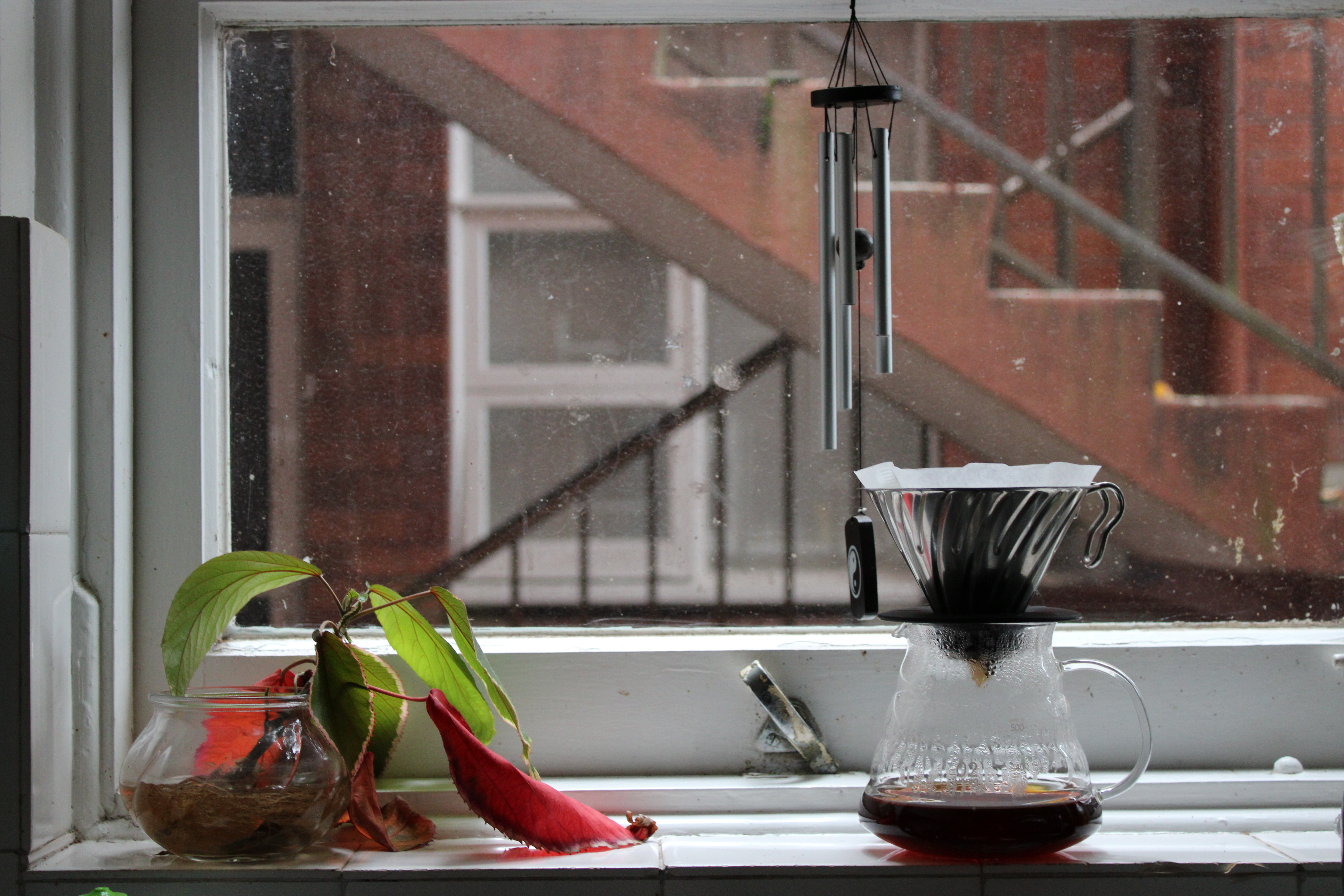 V60 brew